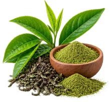 Green tea extract in {{OFFER_NAME}}