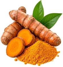 Turmeric in {{OFFER_NAME}}